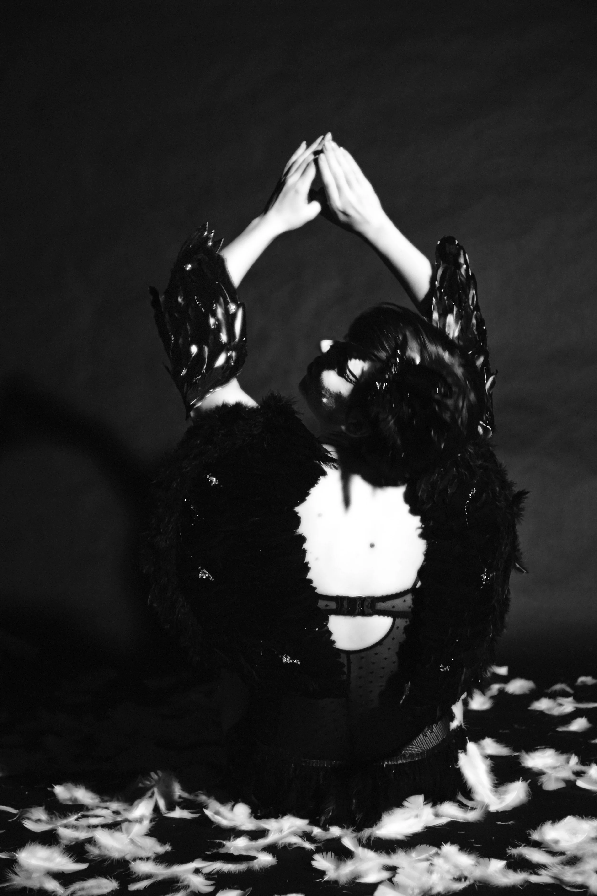 blackswan2.jpg