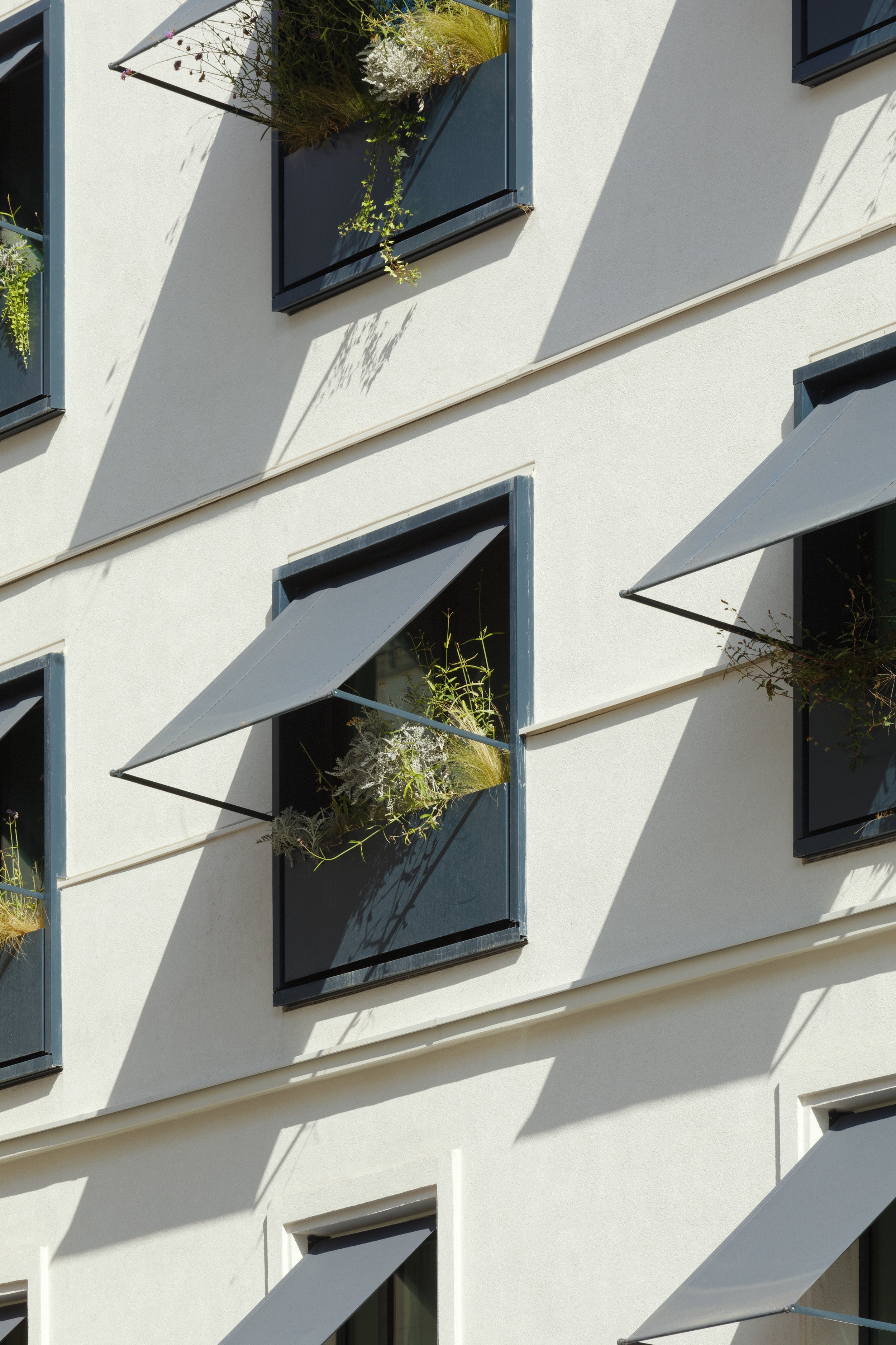 hotel-wallace-stores-dascia-shimmura.jpg