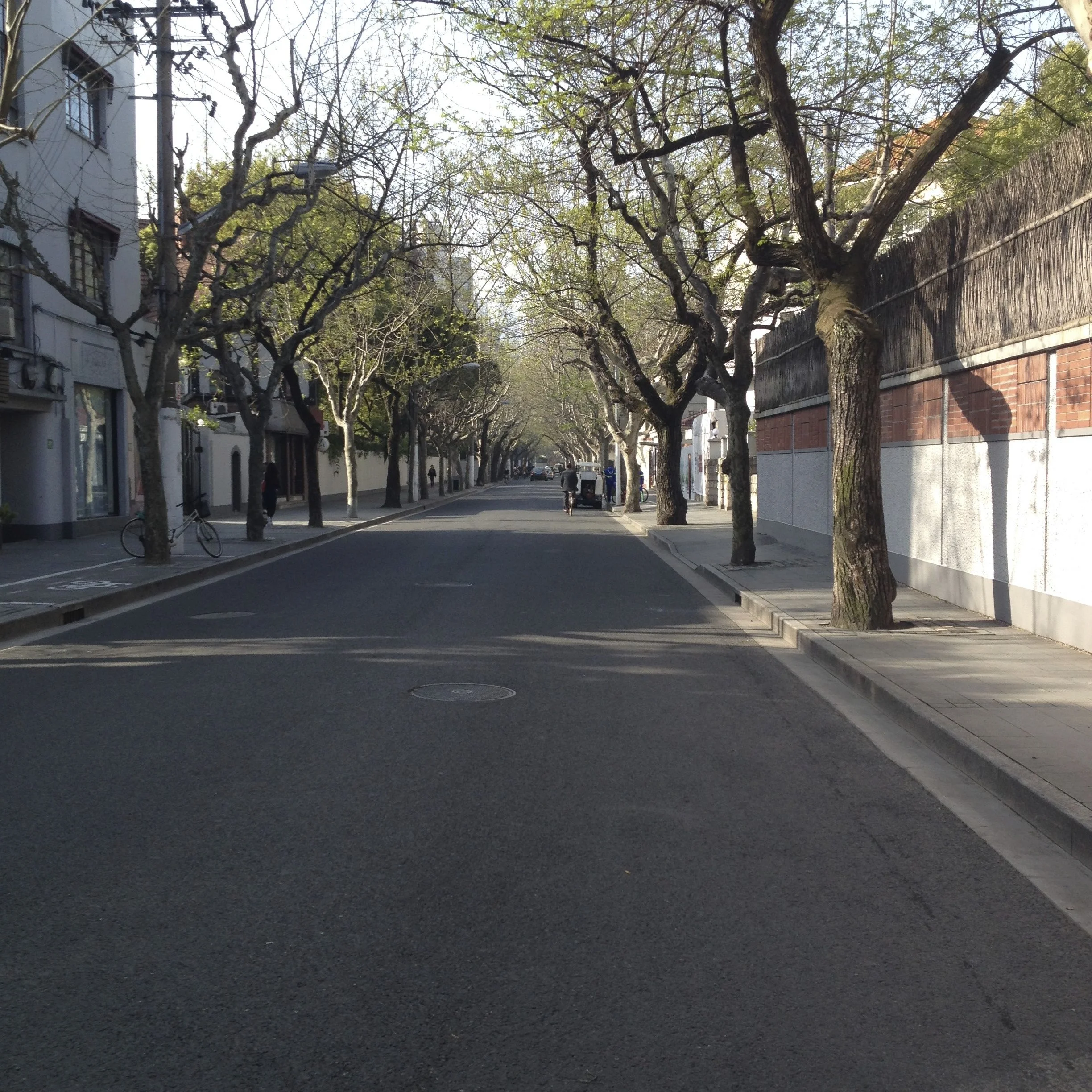 Quiet morning on Wukang Lu which I take to school everyday