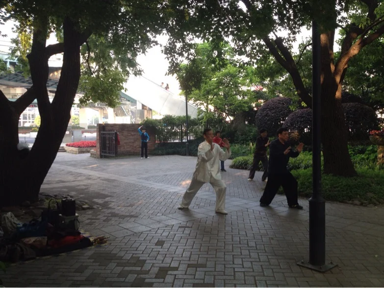 In small groups doing Tai Chi, dances or similar it seems like one person is leading the movements. I wonder of they decide and if they do it on shifts 