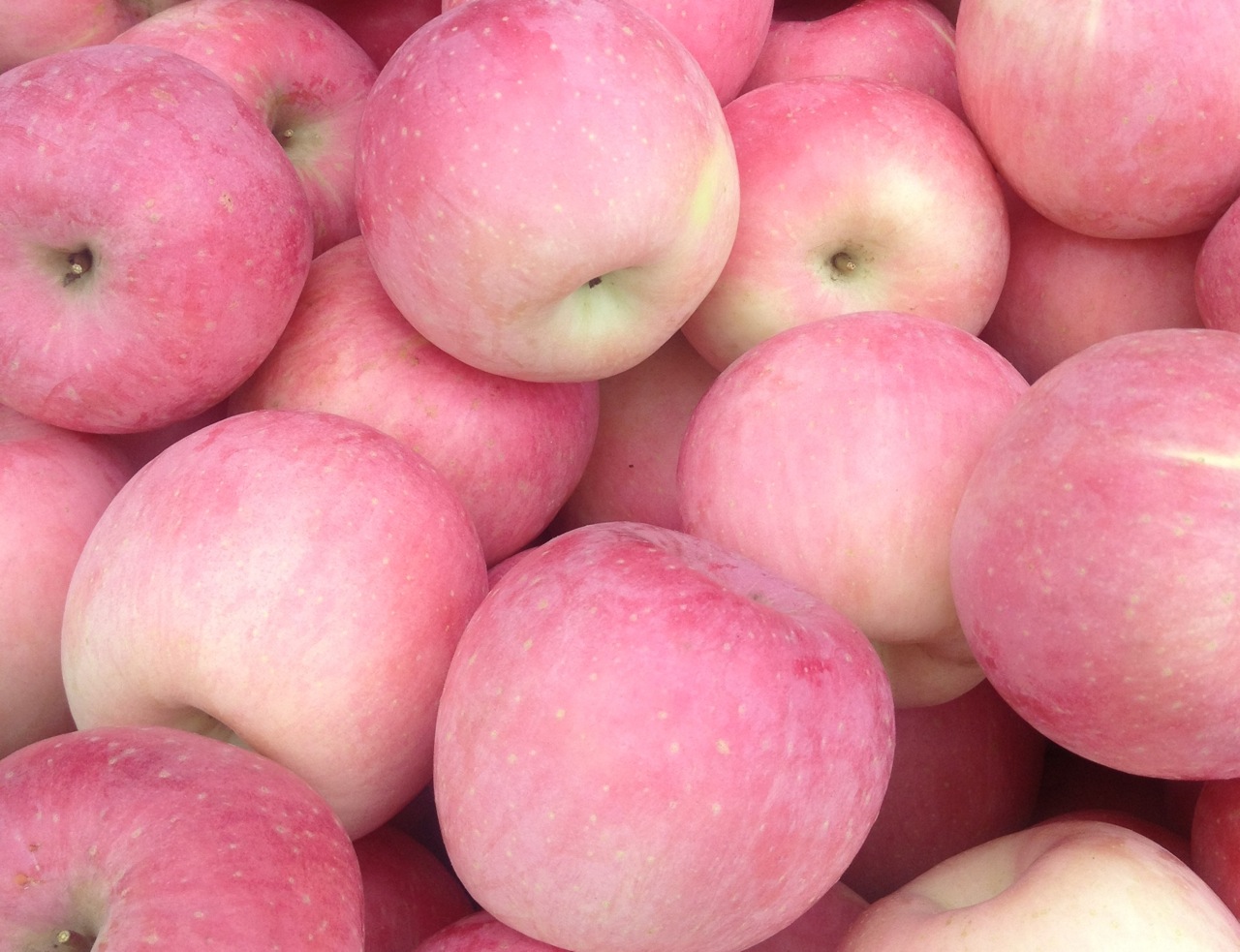 Did you know: Apples are high in pectin , a type of fibre that binds to heavy metals and food additives in the body. Therefore they help your body’s natural process of cleansing the intestines and eliminate toxic