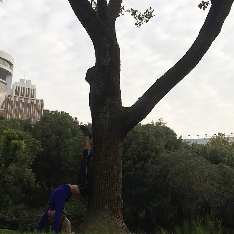 Yoga practice a morning in Shanghai BEFORE it got oh so cold and oh so dark