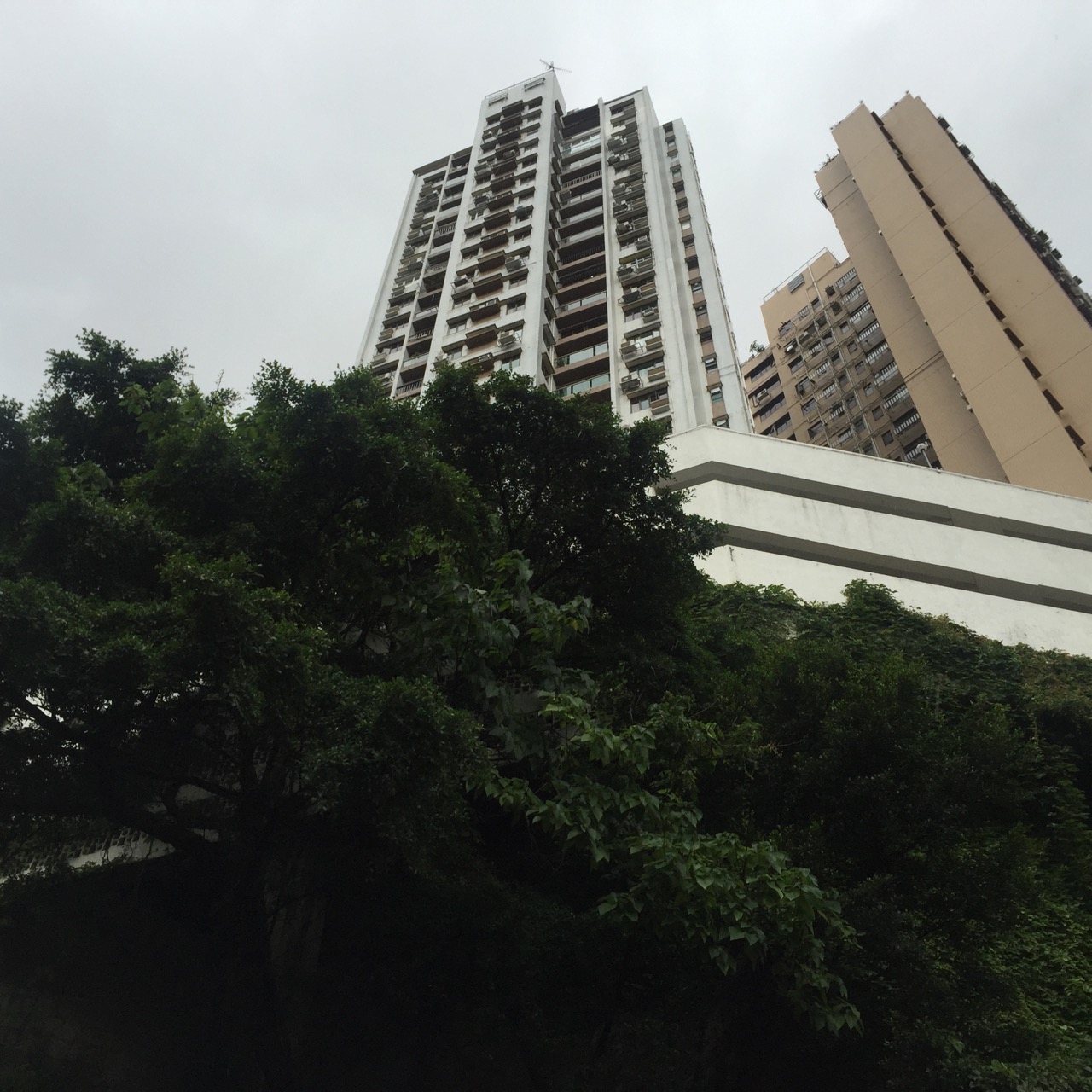 Sky risers and nature goes hand in hand in Hong Kong