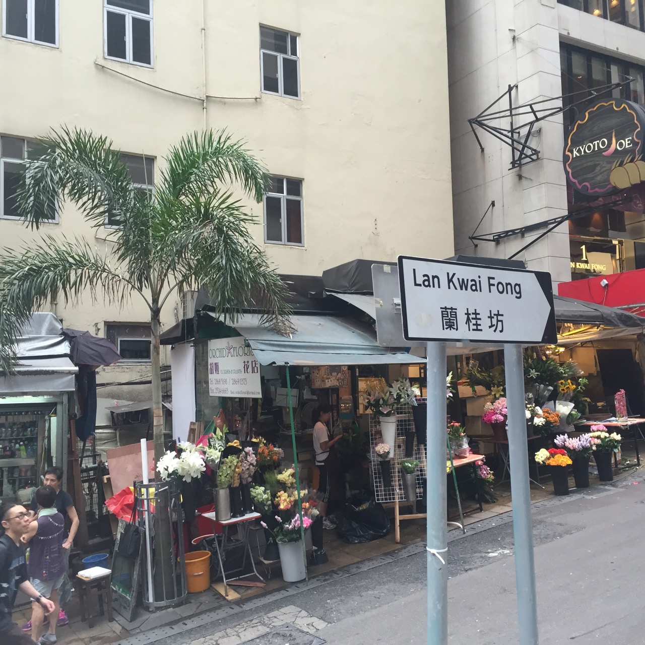Lan Kwai Fong = Hong Kong's Yong Kang Lu and a must-visit if you want to get a feel of the happy expat vibe here