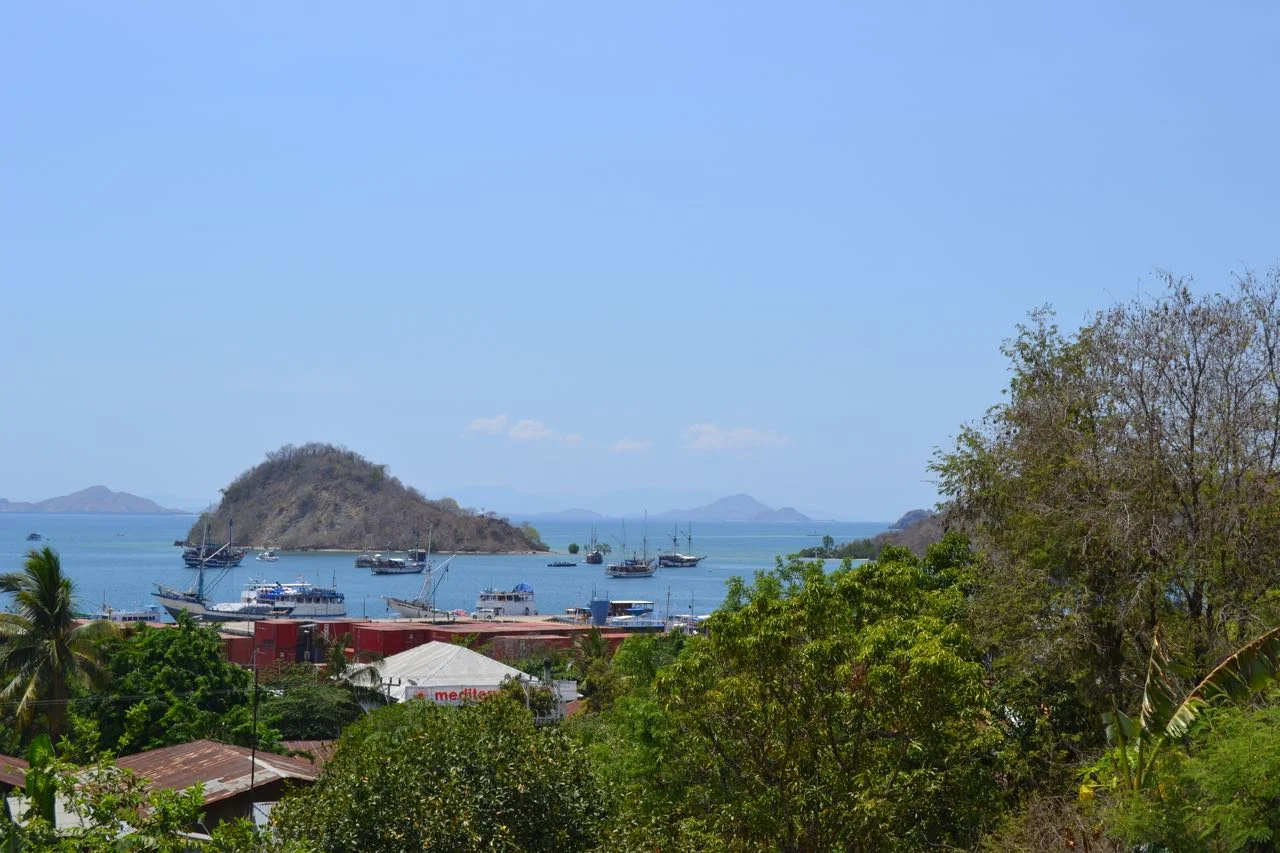 View of the ocean from Manta Manta Guesthouse