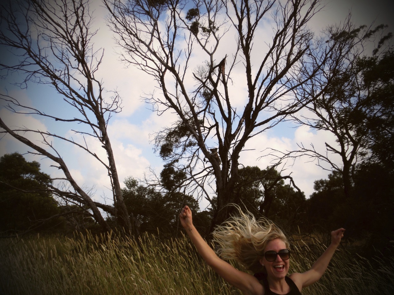 Spot the happy girl who after several days on the road looking out for koalas finally found one (oh and spot him as well)