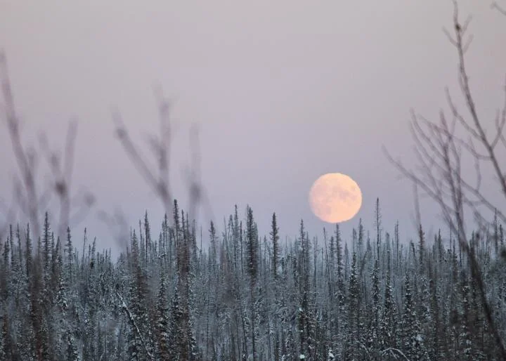 winter-full-moon_full_width.jpg
