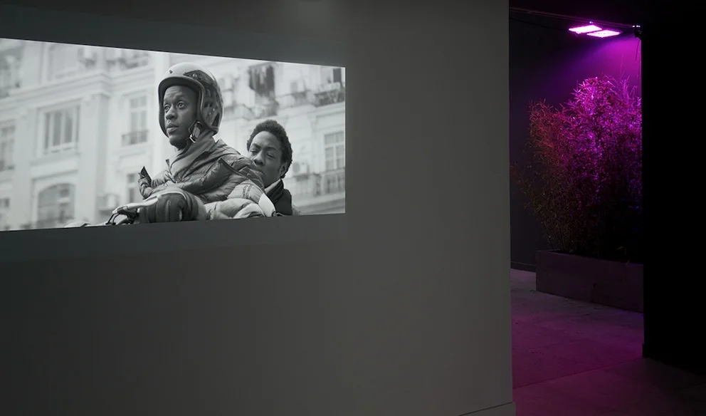 Installation view 4