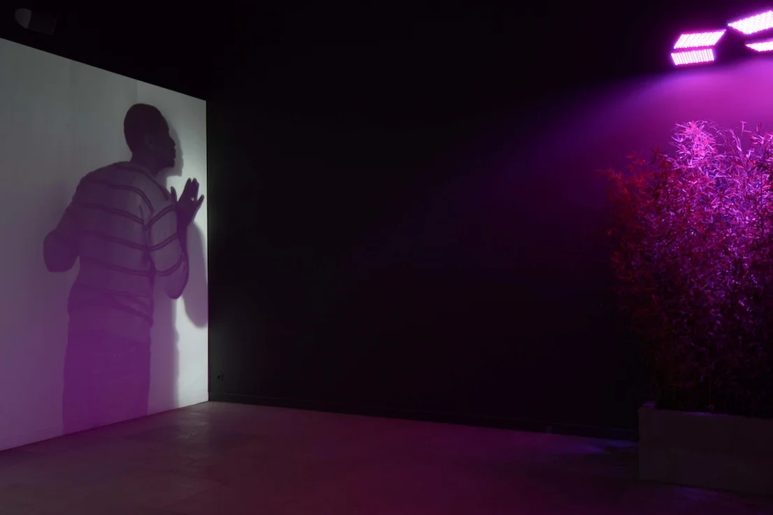 Installation view 5