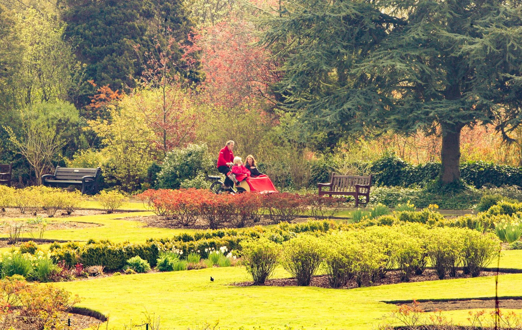 Enjoying a trishaw ride through the Laird’s Garden of Pittencrieff Park