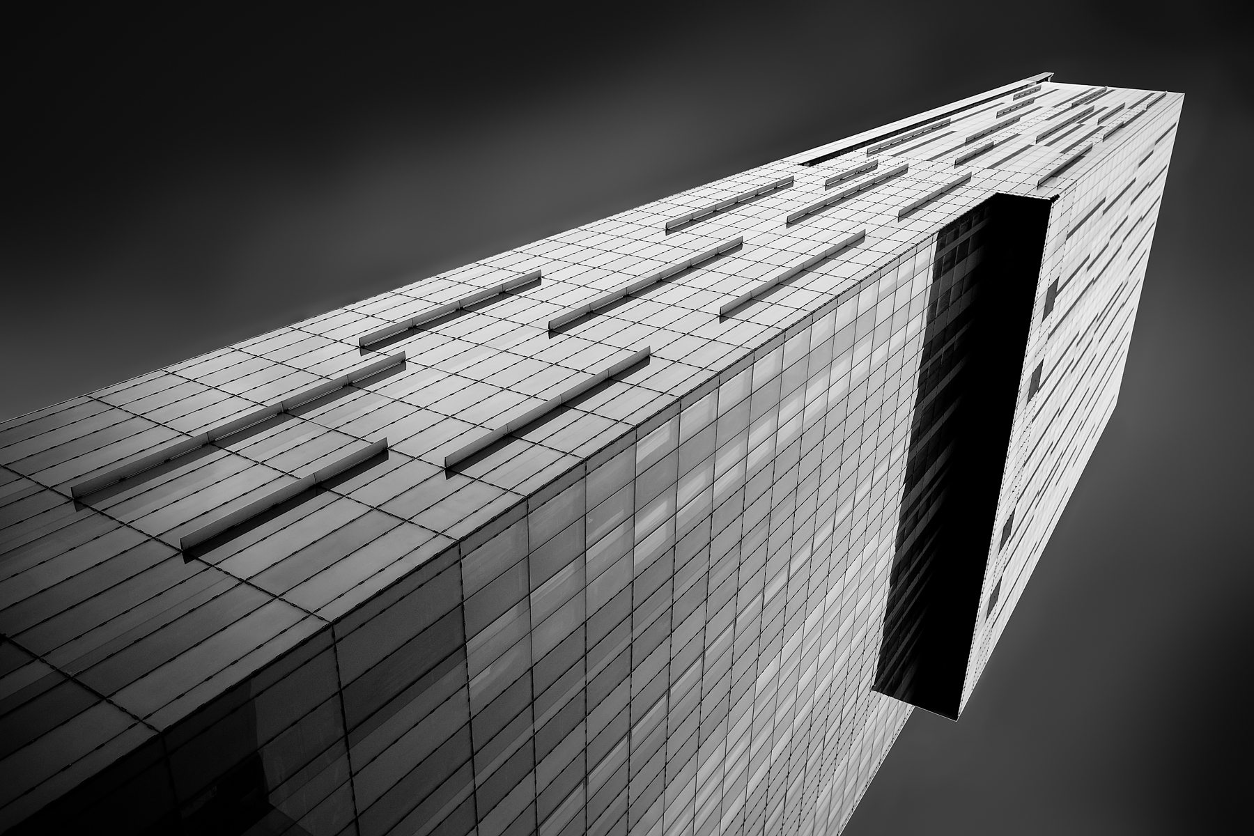 The Tower