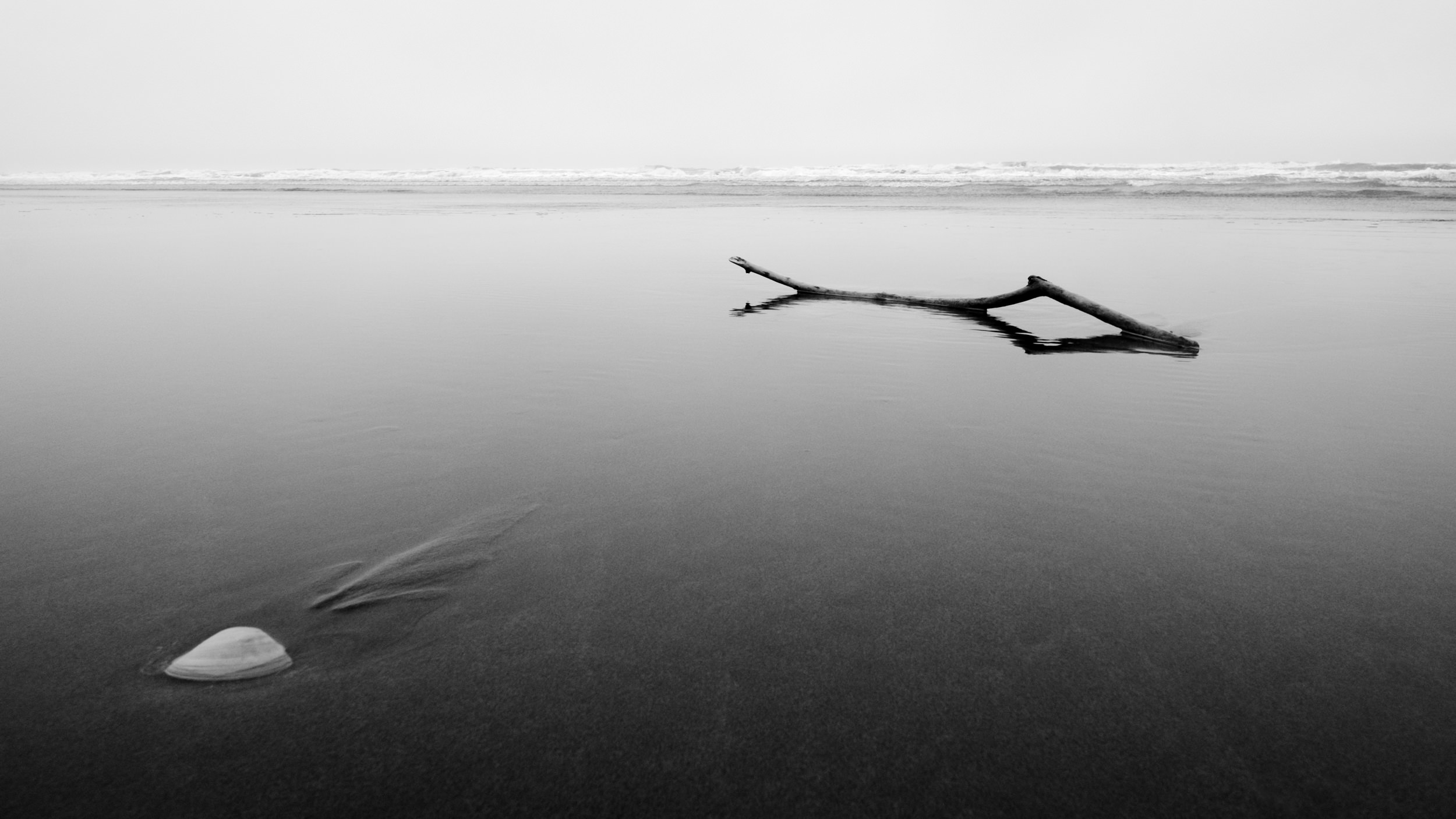 _DSF5690-Edit.jpg