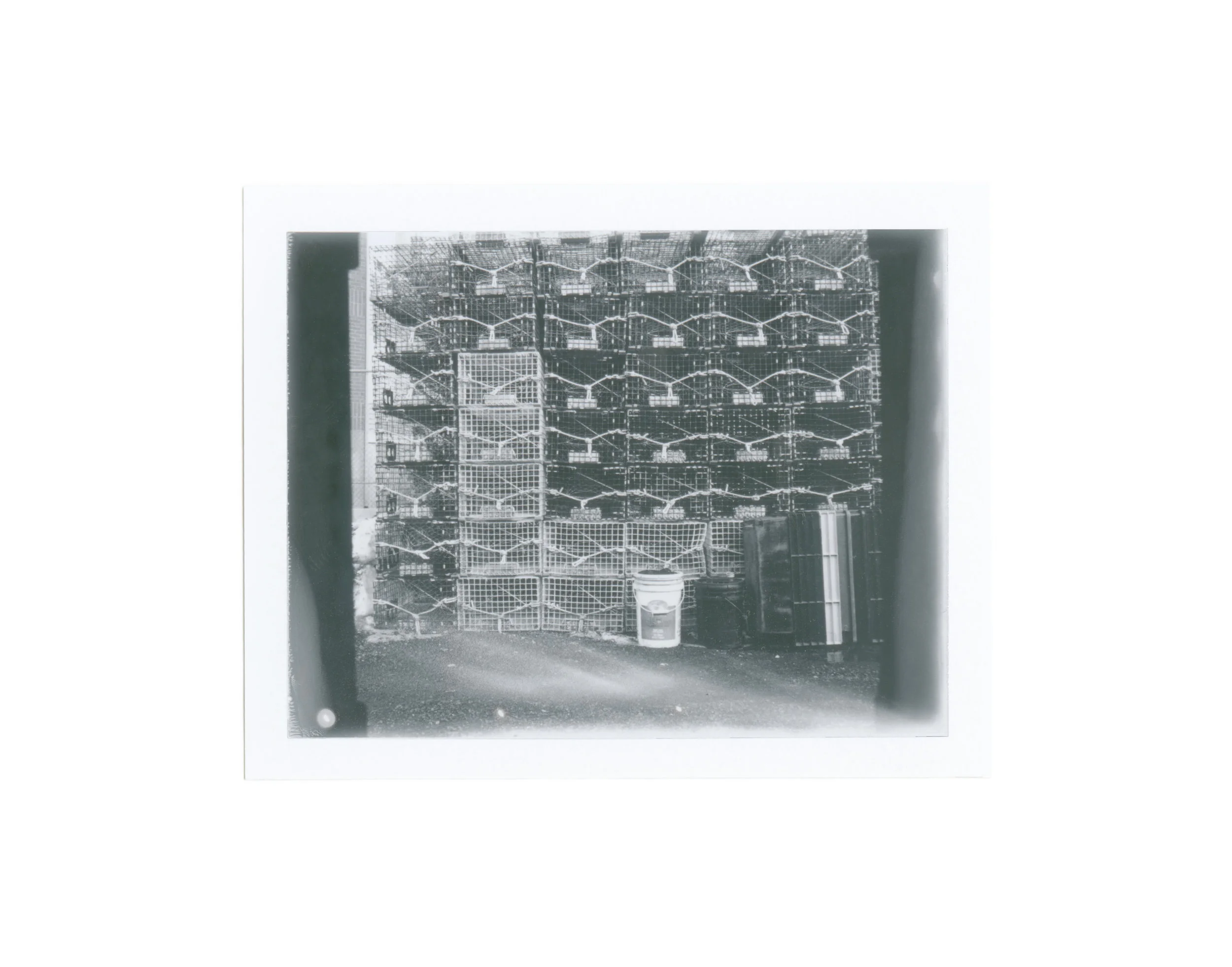 Polaroid_Scan-6.jpg