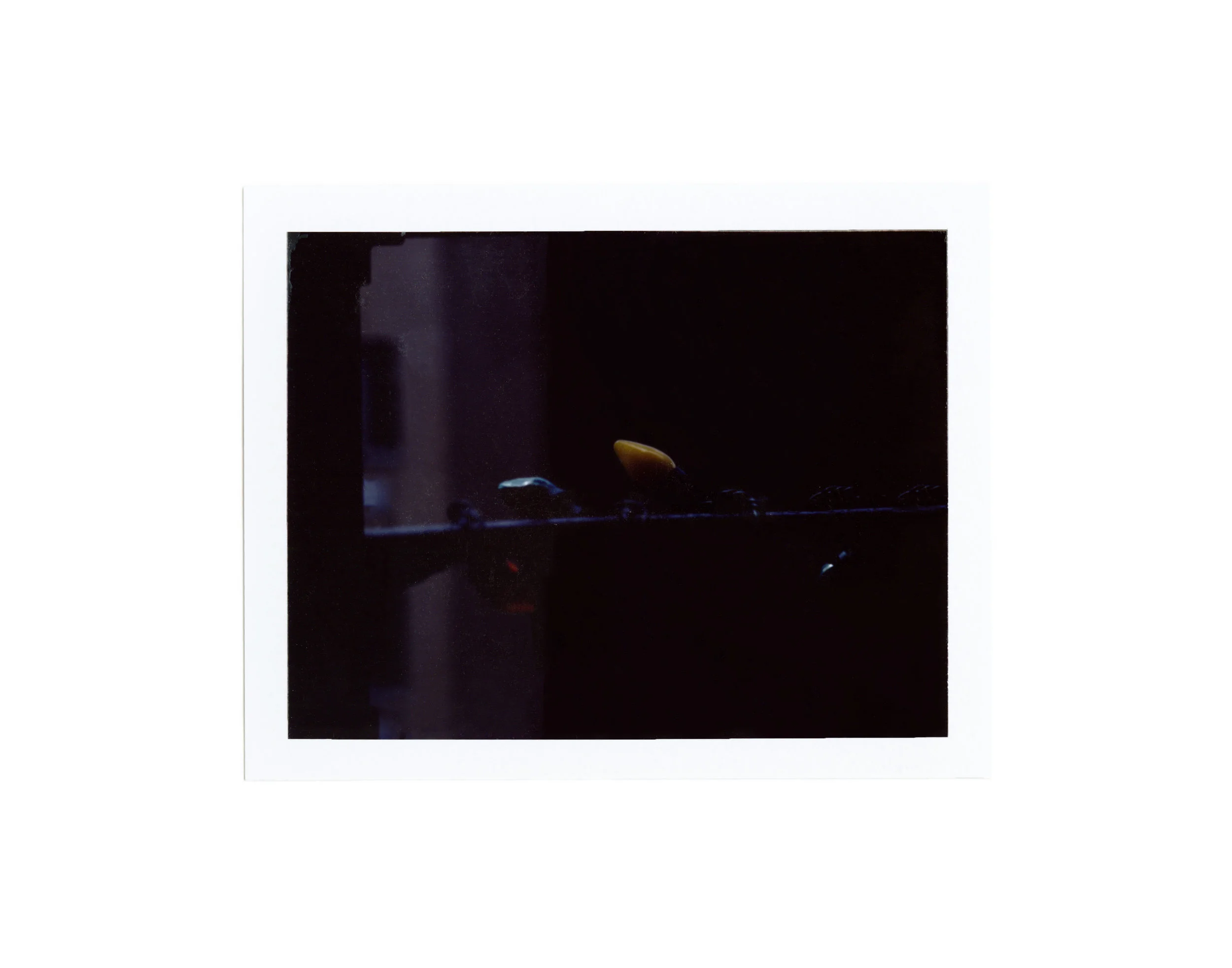 Polaroid_Scan-19.jpg