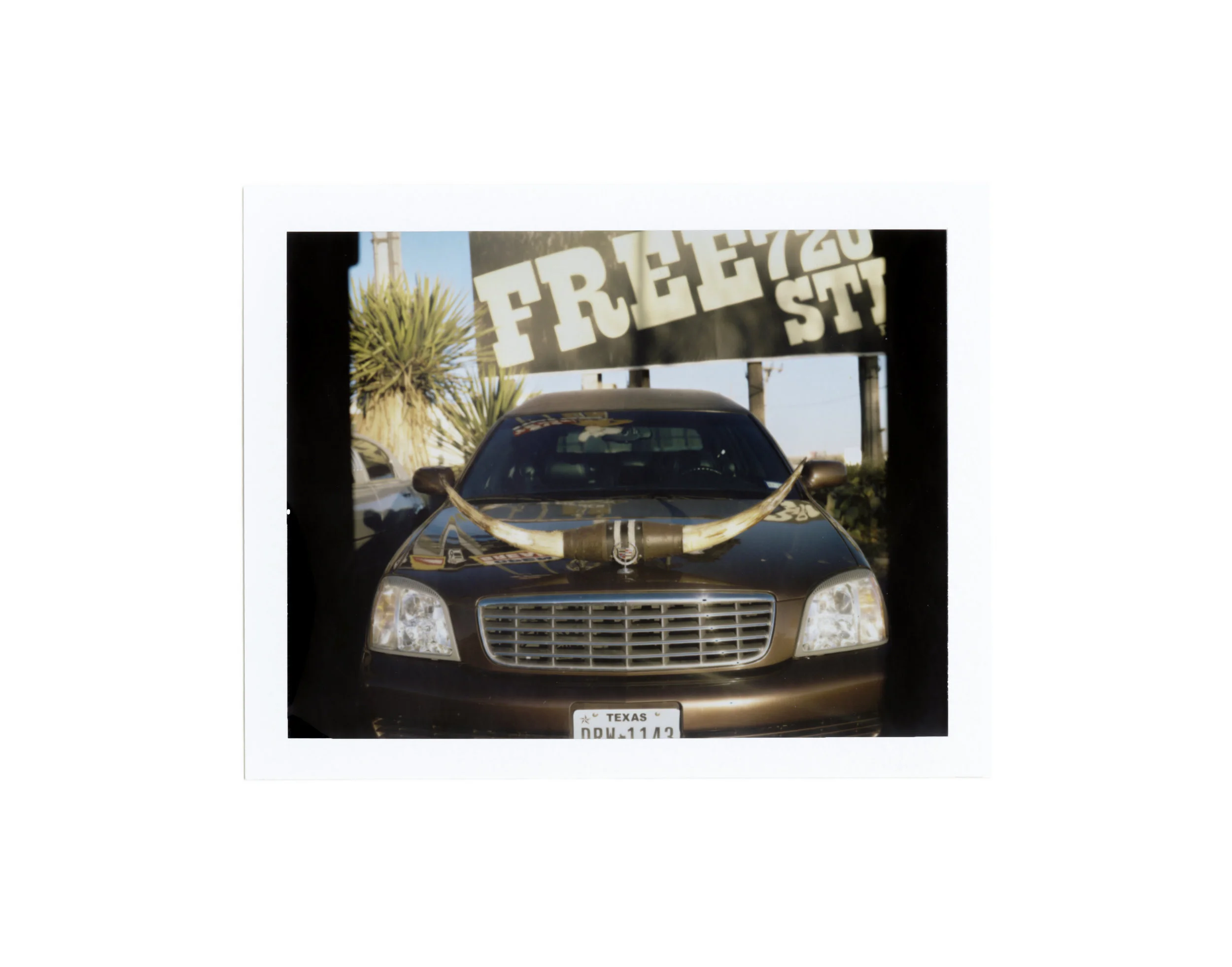 Polaroid_Scan-63.jpg