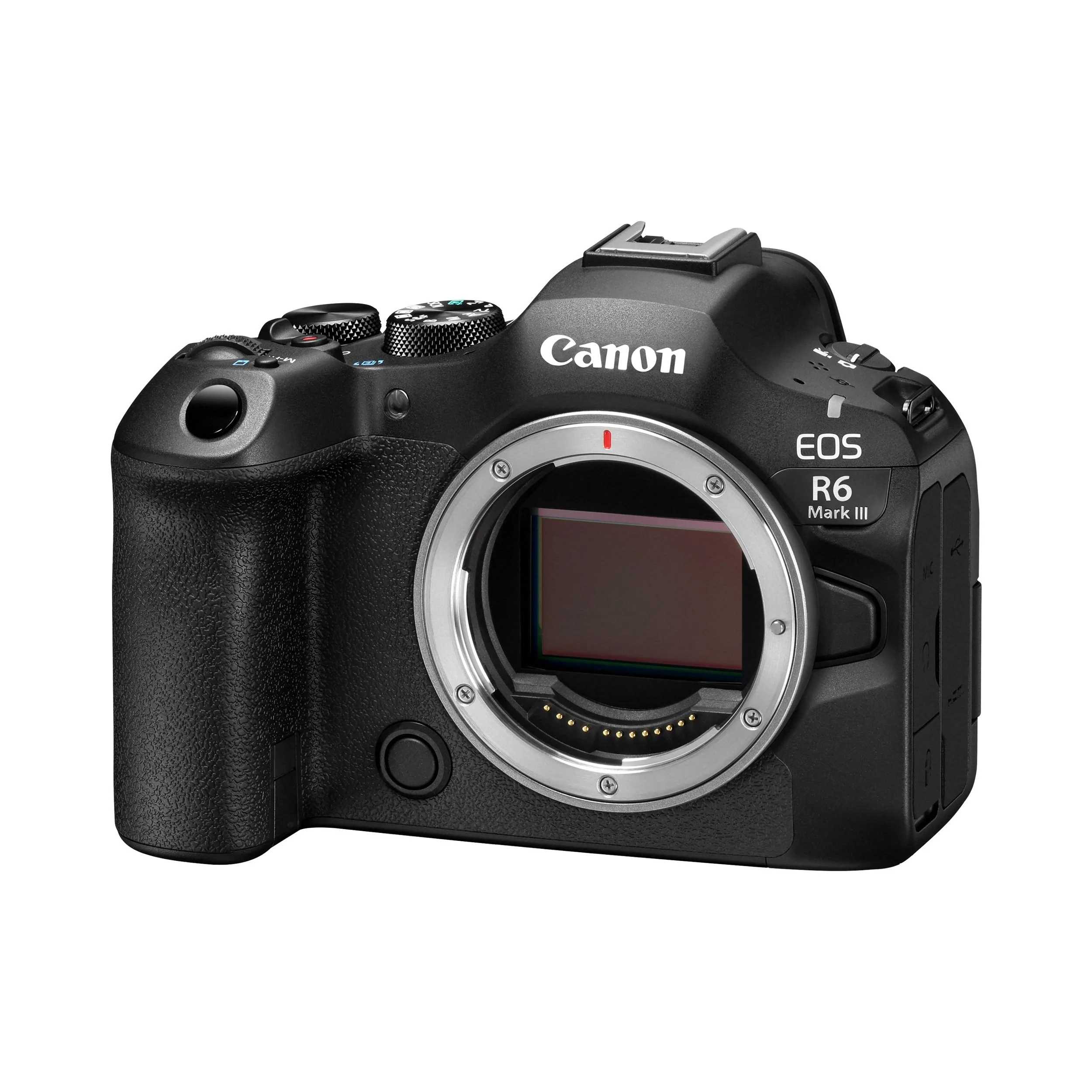 Canon erweitert das EOS R System: EOS R6 Mark III 