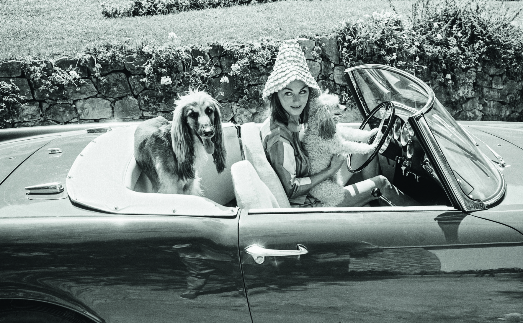 © Celebrity Pets - On the French Riviera in the 50s and 60s by Edward Quinn, to be published by teNeues in September 2014, www.teneues.com. A Miniature Poodle and an Afghan Hound in the Alfa Romeo of David Niven and a special hat for his Swedish wife Hjordis Tersmeden. Saint-Jean-Cap-Ferrat 1961, Photo © 2014 edwardquinn.com. All rights reserved.