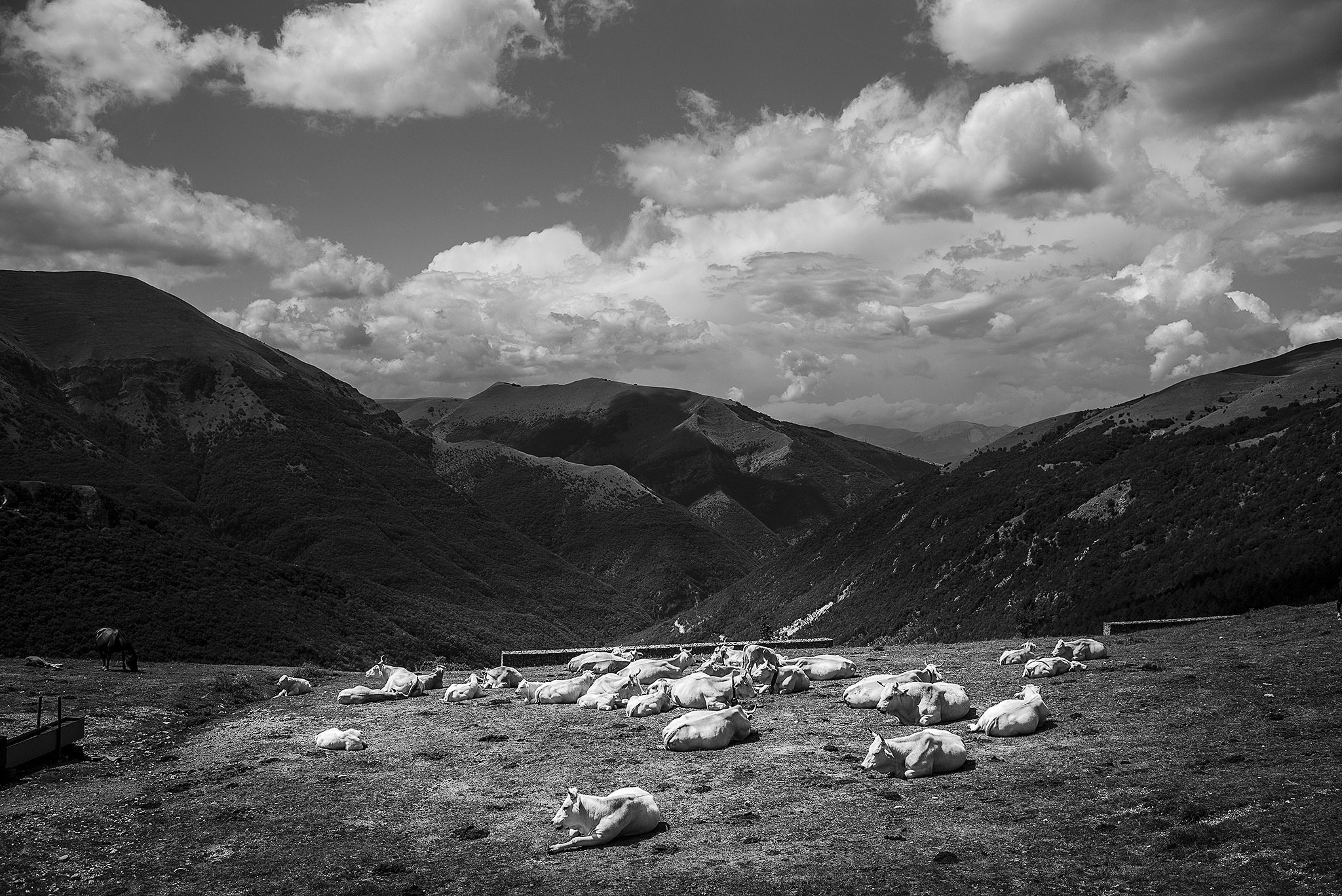 Sibelinische Berge - Leica M - 35 mm Summilux