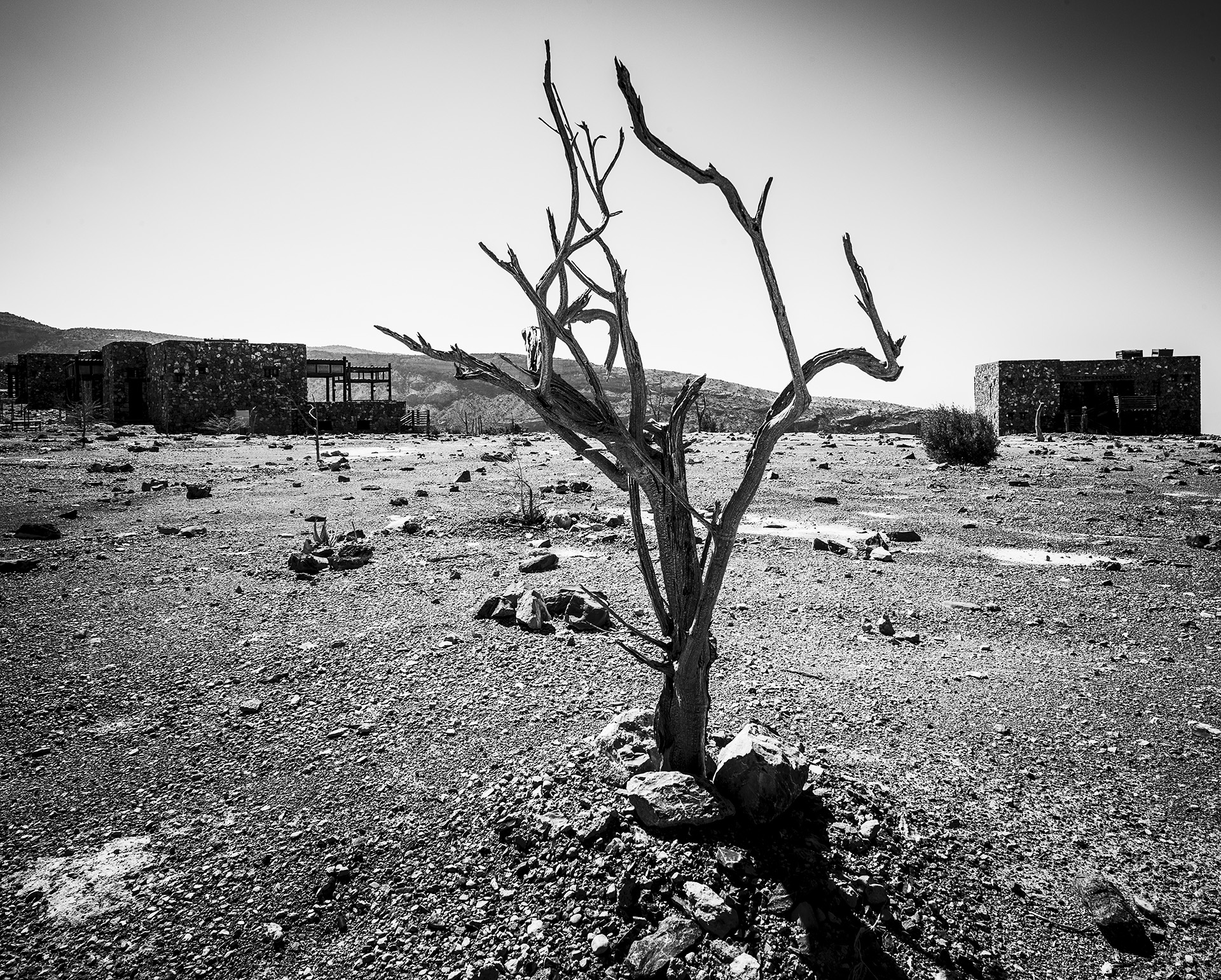 copyright by Eric Berger