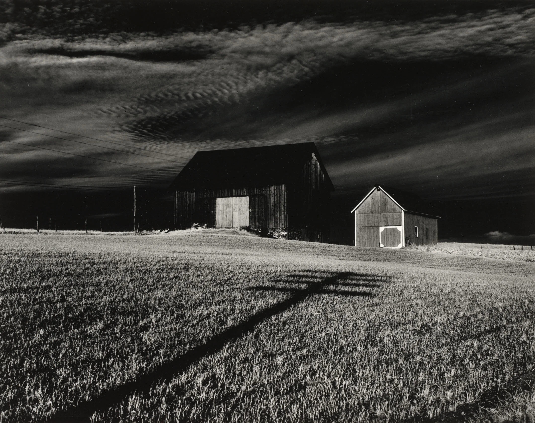 Minor WhiteZwei Scheunen bei Dansville, New York 1955Albertina, Wien © Minor White