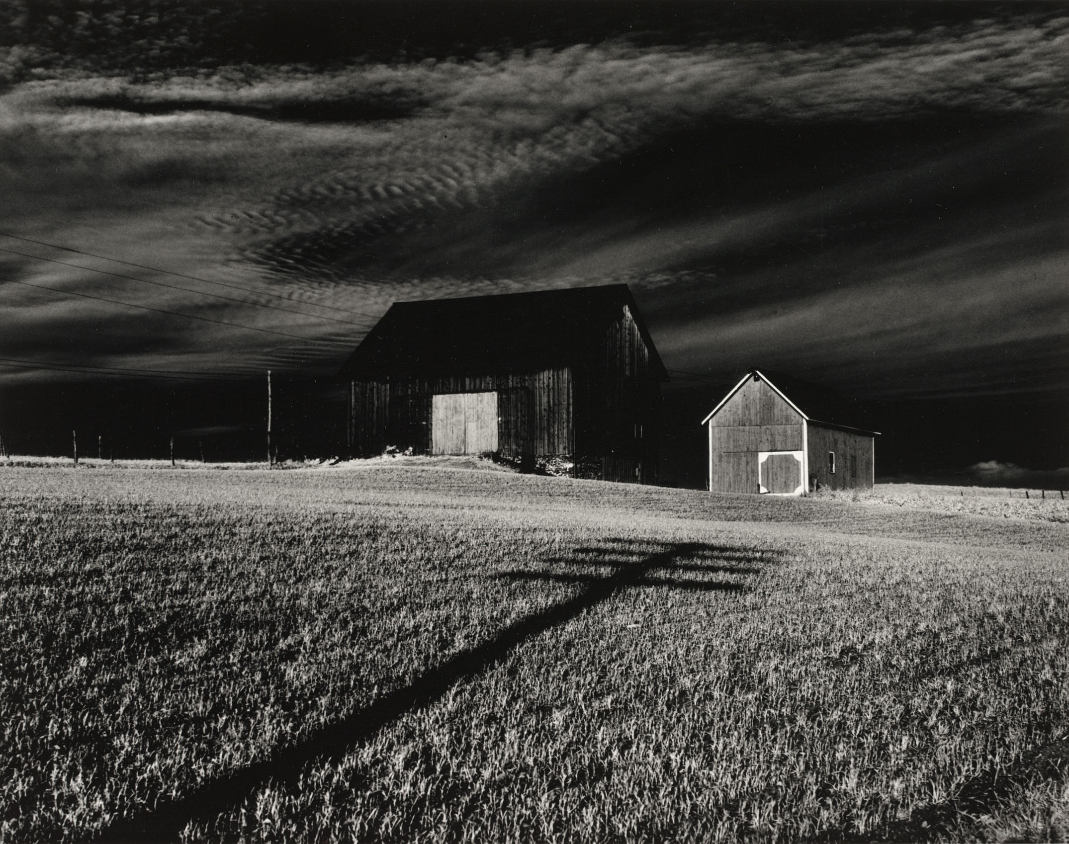Minor White Zwei Scheunen bei Dansville, New York 1955 Albertina, Wien © Minor White