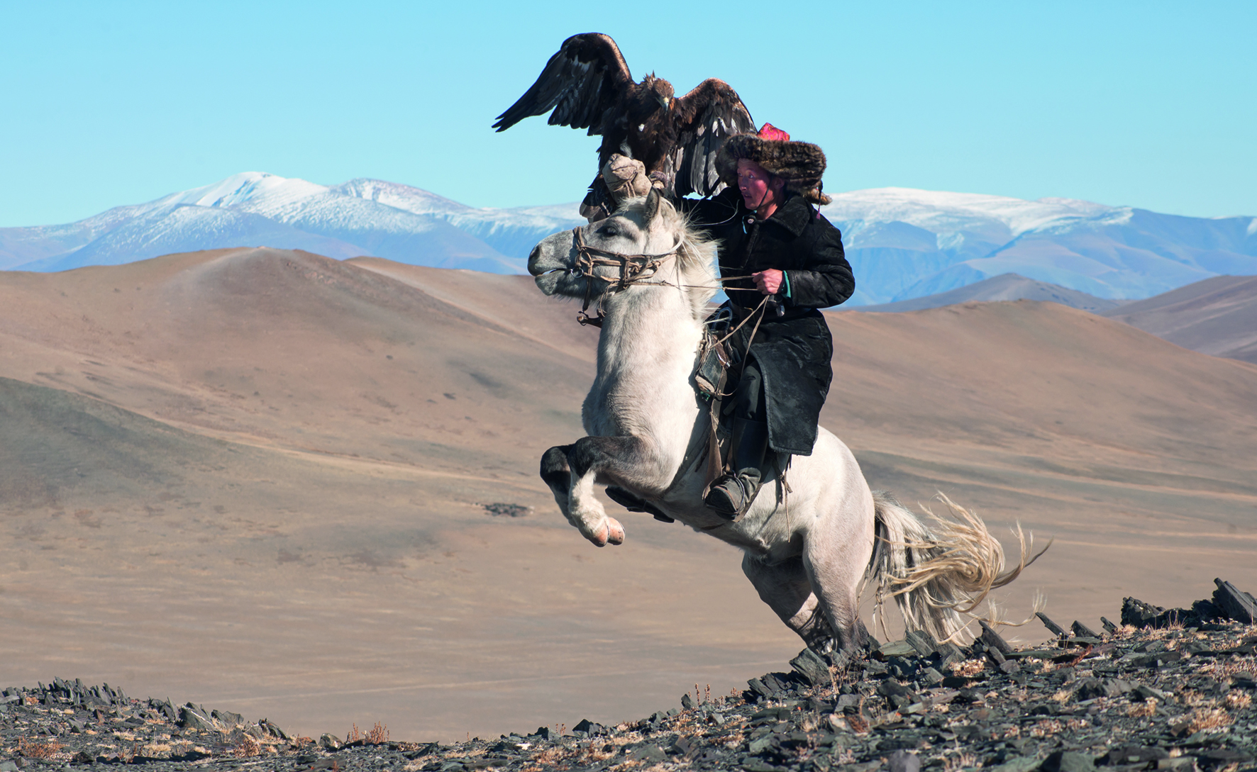 White Pegasus study I, Deloun Highlands, Olgii Province, Mongolia, 2010 Photo © 2016 Hamid Sardar. All rights reserved. www.hamidsardarphoto.com