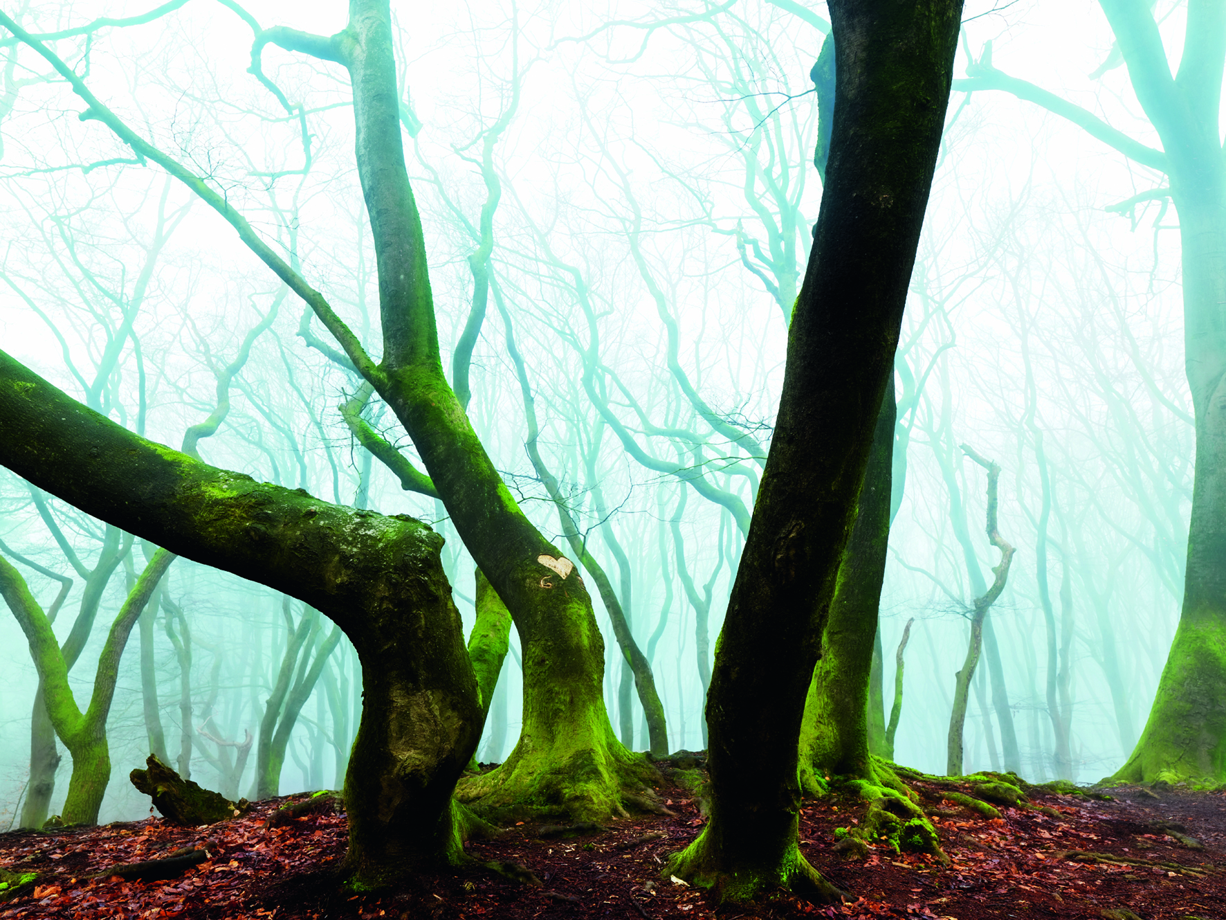 Photo © Image by Lars van de Goor Hasselblad Master 2016: Landscape www.hasselblad.com/inspiration/masters/masters-2016