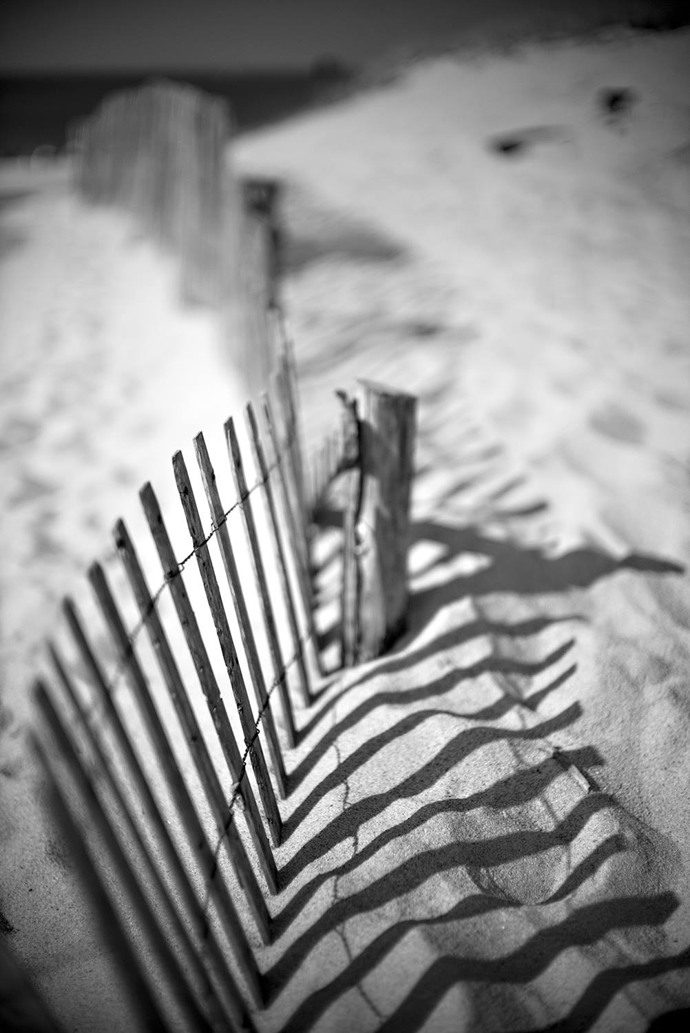 © Mark Strachan_Cape Cod Massachussets NOCTI with M-P