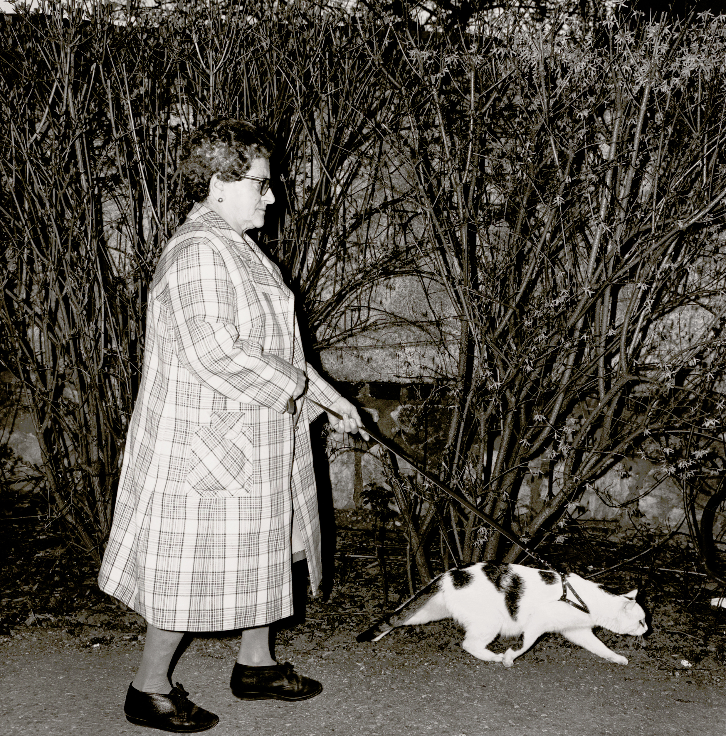 Manfred Willmann Aus der Serie "Schwarz und Gold (ich träume nie!)", 1979 - 1981 Albertina, Wien © Manfred Willmann