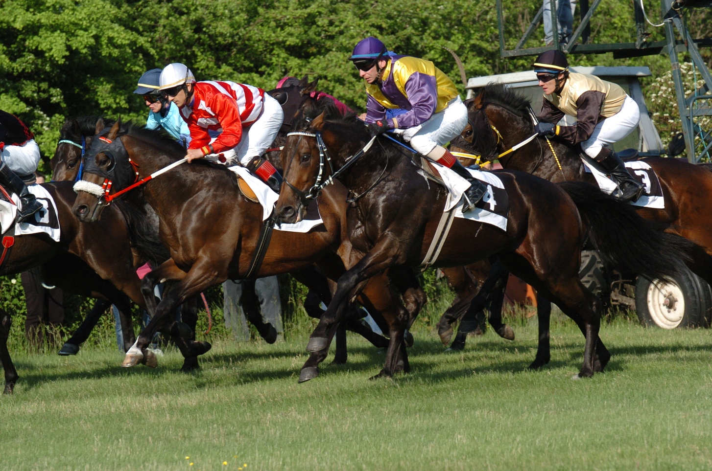  ©VIENNA ASCOT