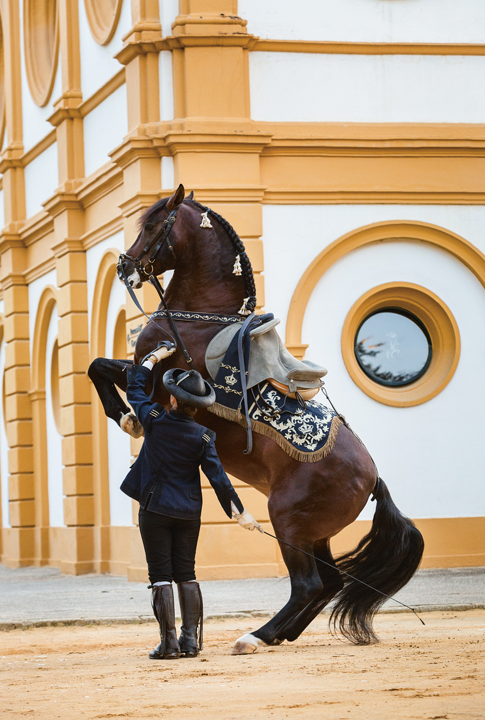 ROYAL ANDALUSIAN SCHOOL OF EQUESTRIAN ART, Jerez, Spain Photo © Fundación Real Escuela Andaluza Del Arte Ecuestre