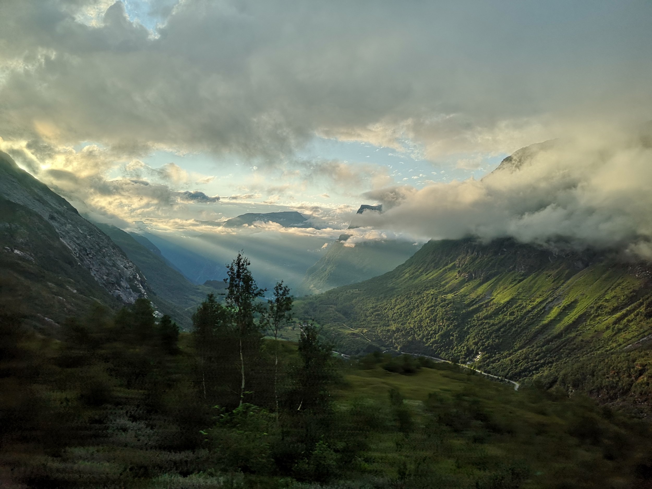Віктор nature.jpeg