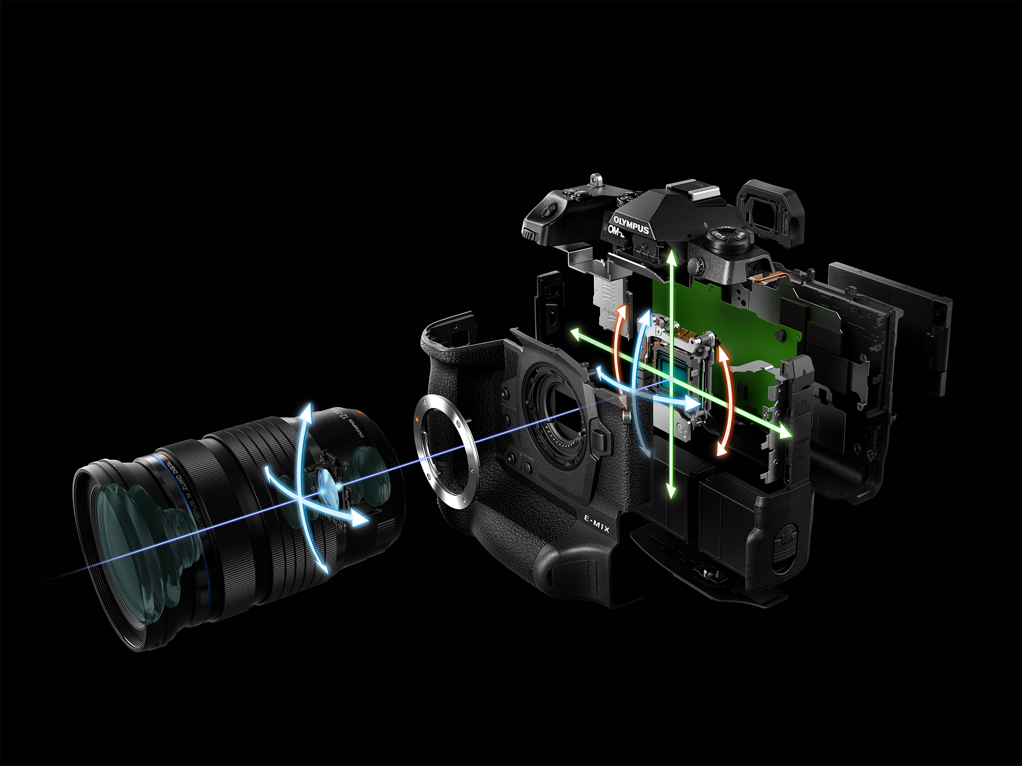 9_E-M1X_Right_Horizontal_12-100mmF4_5-Axis synchro IS.jpg