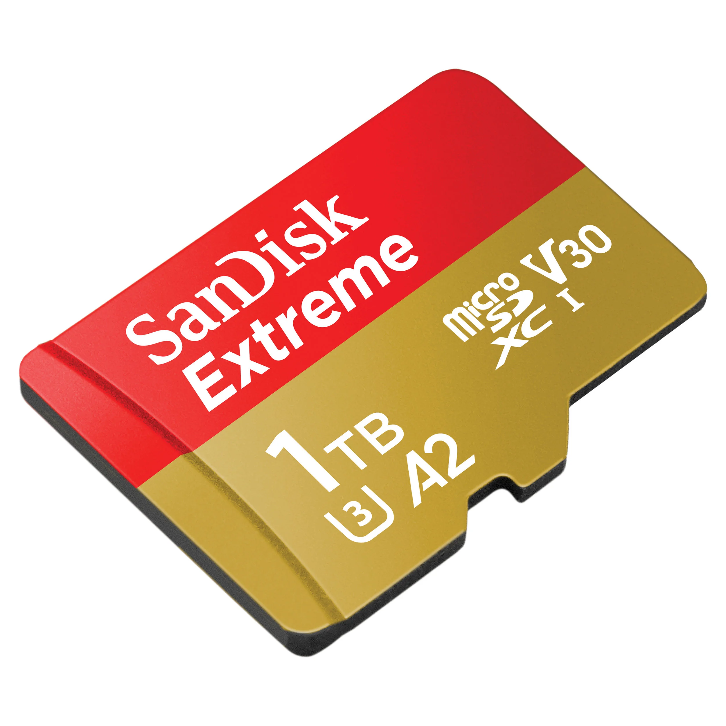 Extreme_microSD_Angle_1TB_HR.jpg