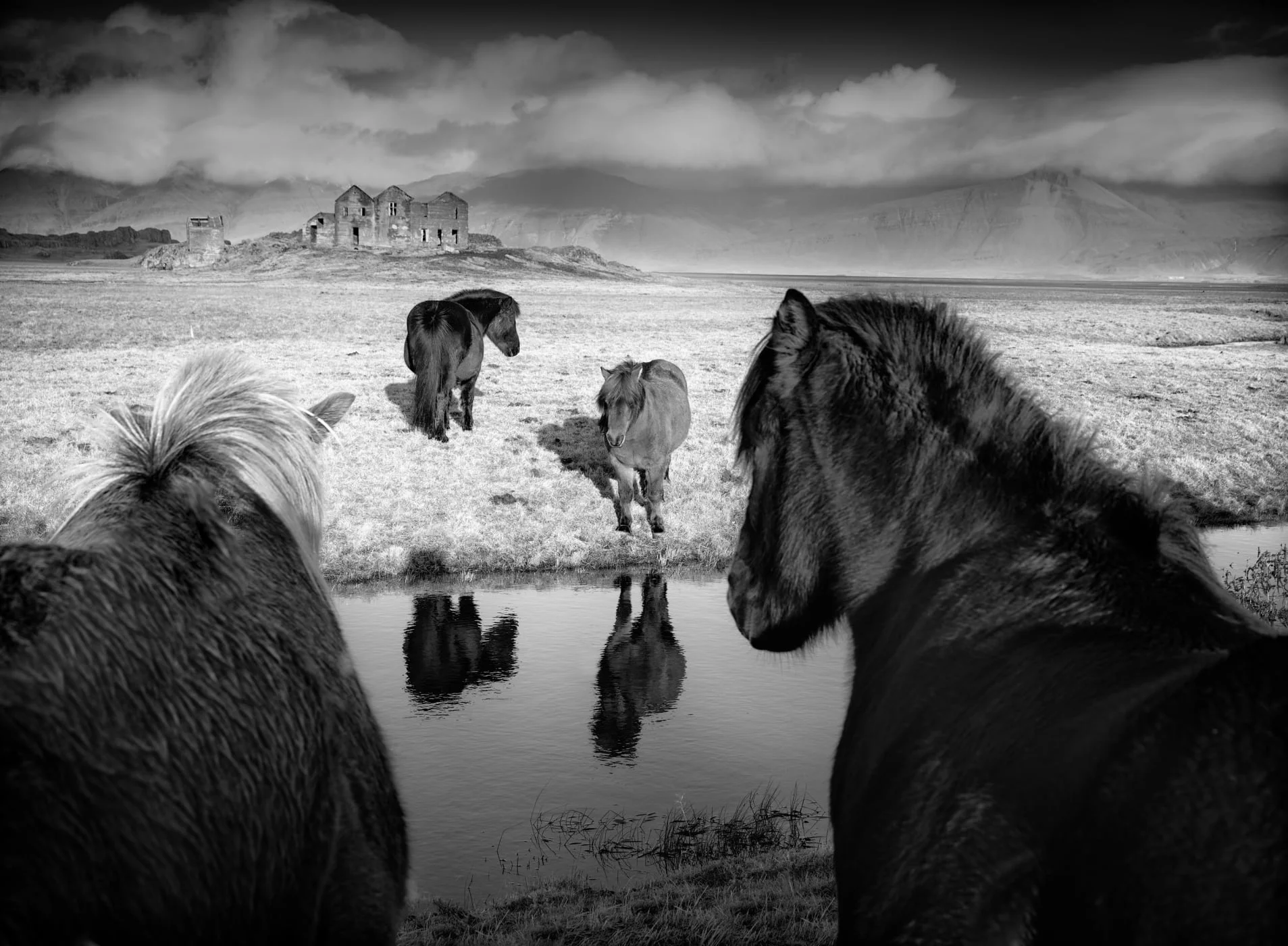 © Baerbel Brechtel, National Awards, Winner, Germany, 2019 Sony World Photography Awards