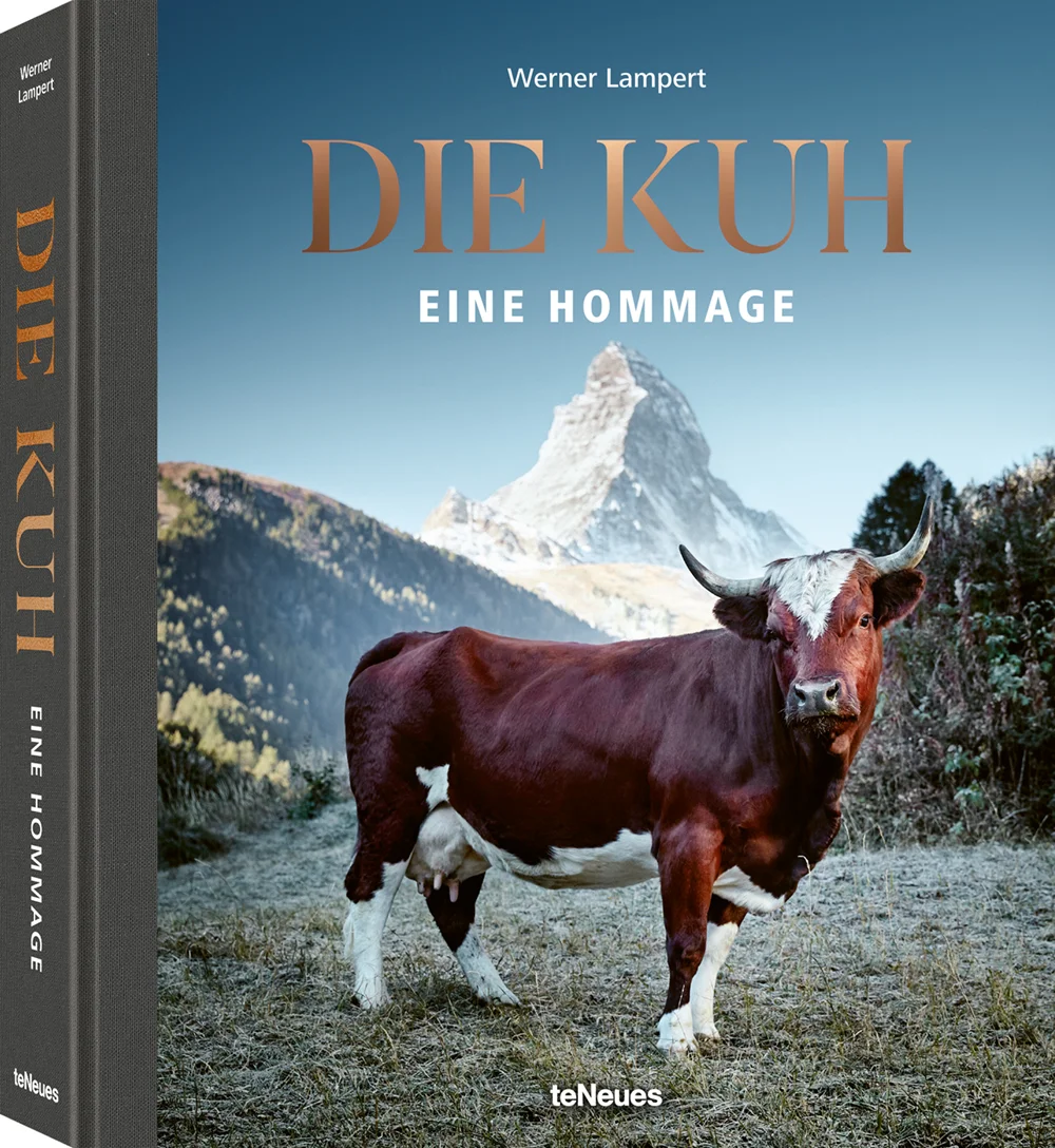 DIE KUH Eine Hommage Werner Lampert erschienen bei teNeues 26 x 29,8 cm 480 Seiten, Hardcover 230 Farbfotografien und 18 Illustrationen Texte in Deutsch oder Englisch € 49,90 ISBN Deutsche Version: 978-3-96171-178-9 ISBN Englische Version: 978-3-96171-184-0 © Die Kuh - Eine Hommage von Werner Lampert, erschienen bei teNeues, € 49,90, www.teneues.com , Evolèner, Wallis, Schweiz, © Werner Lampert GmbH, Photo Ramona Waldner