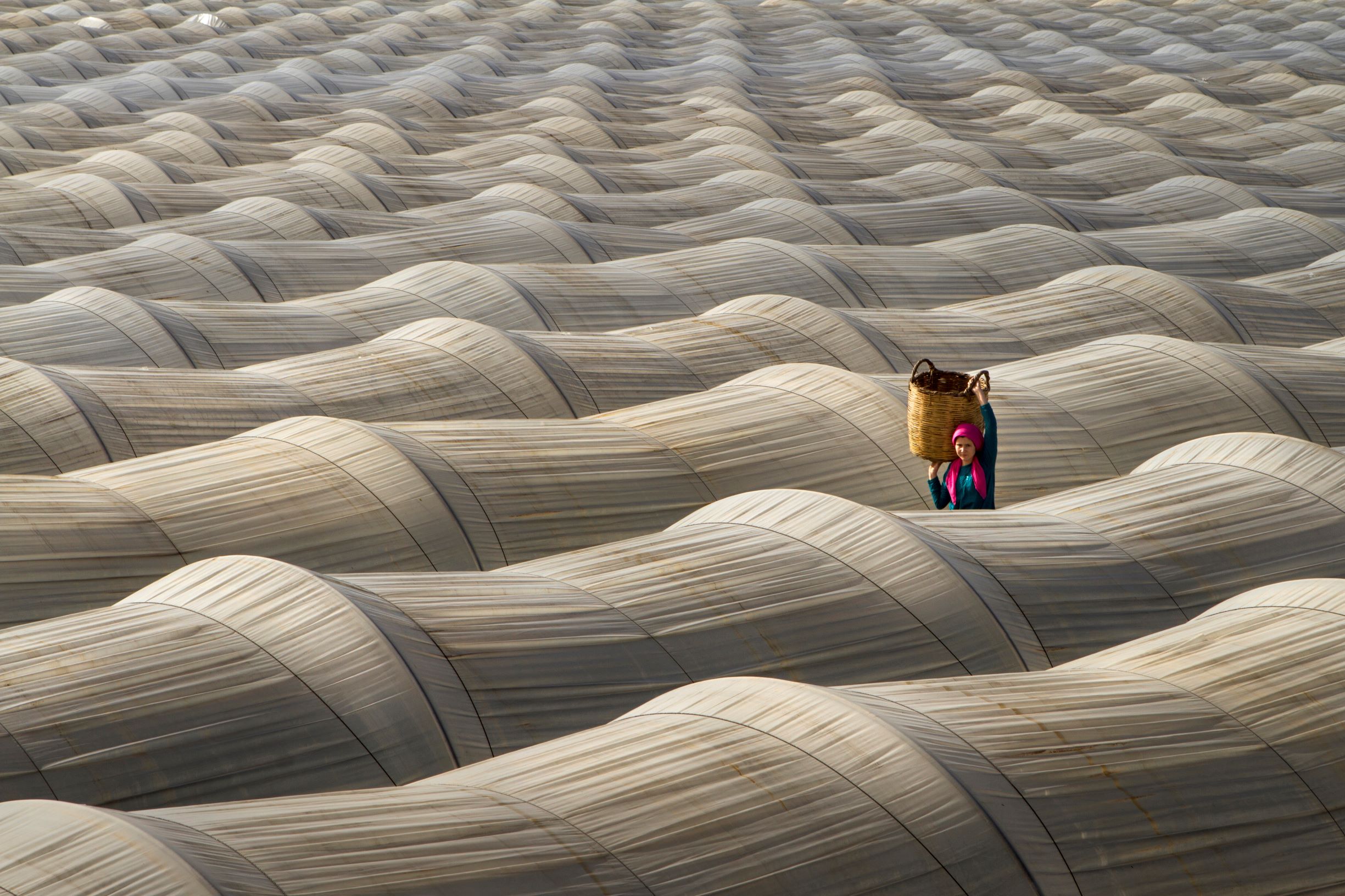 © CEWE/ Leyla Emektar, Turkey