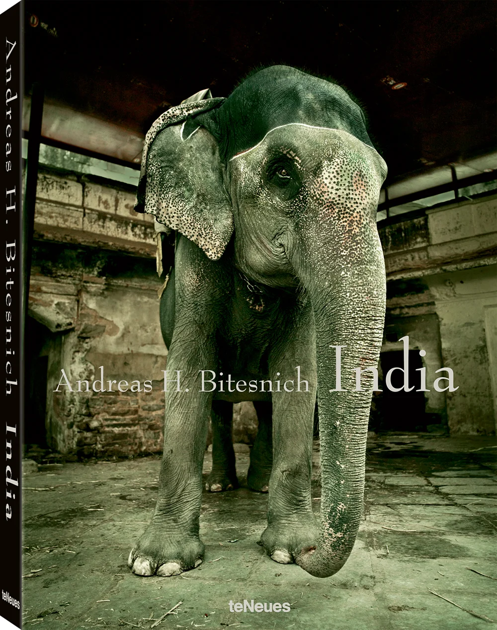© India by Andreas H. Bitesnich, published by teNeues, € 79,90, www.teneues.com , Jaipur 2006, Elephant at Amber Fort, Photo © Andreas H. Bitesnich. All rights reserved.