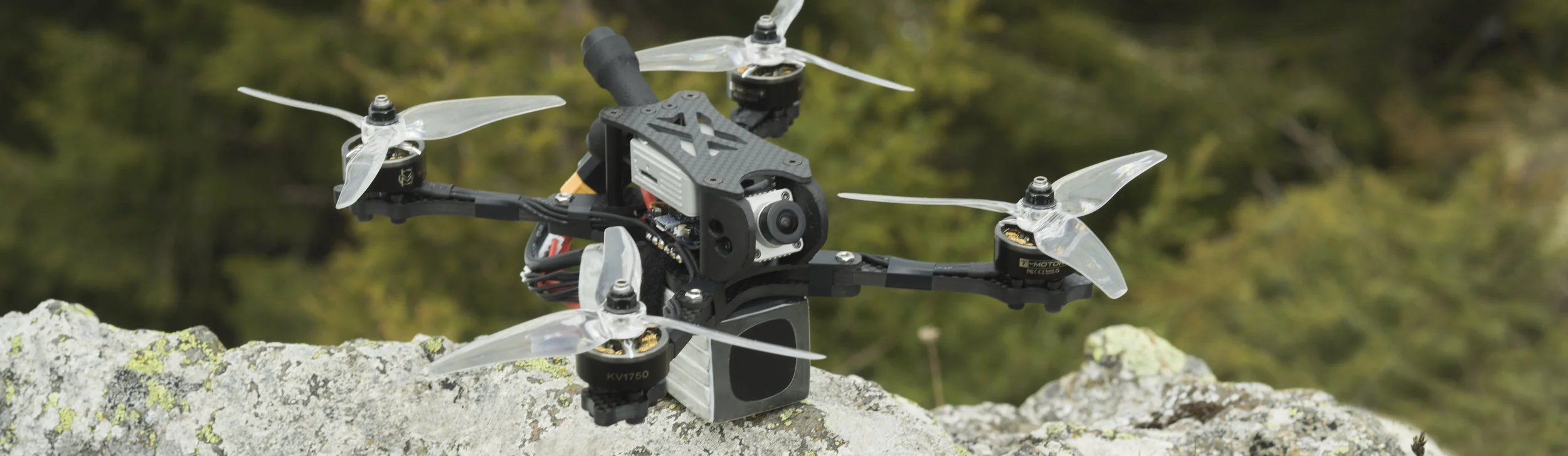 DJI HDL FPV lifestyle 3.jpg
