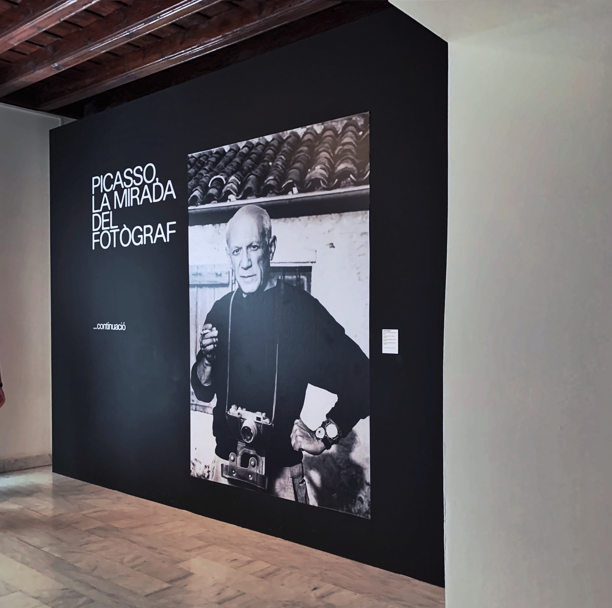 Joan Fontcuberta Pablo Picasso portrayed by André Villers in Mougins, 1962 Barcelona, 1995. Photograph manipulated for the project ‘Artist and Photography’ 1995–99 Barcelona, 1995 © Joan Fontcuberta
