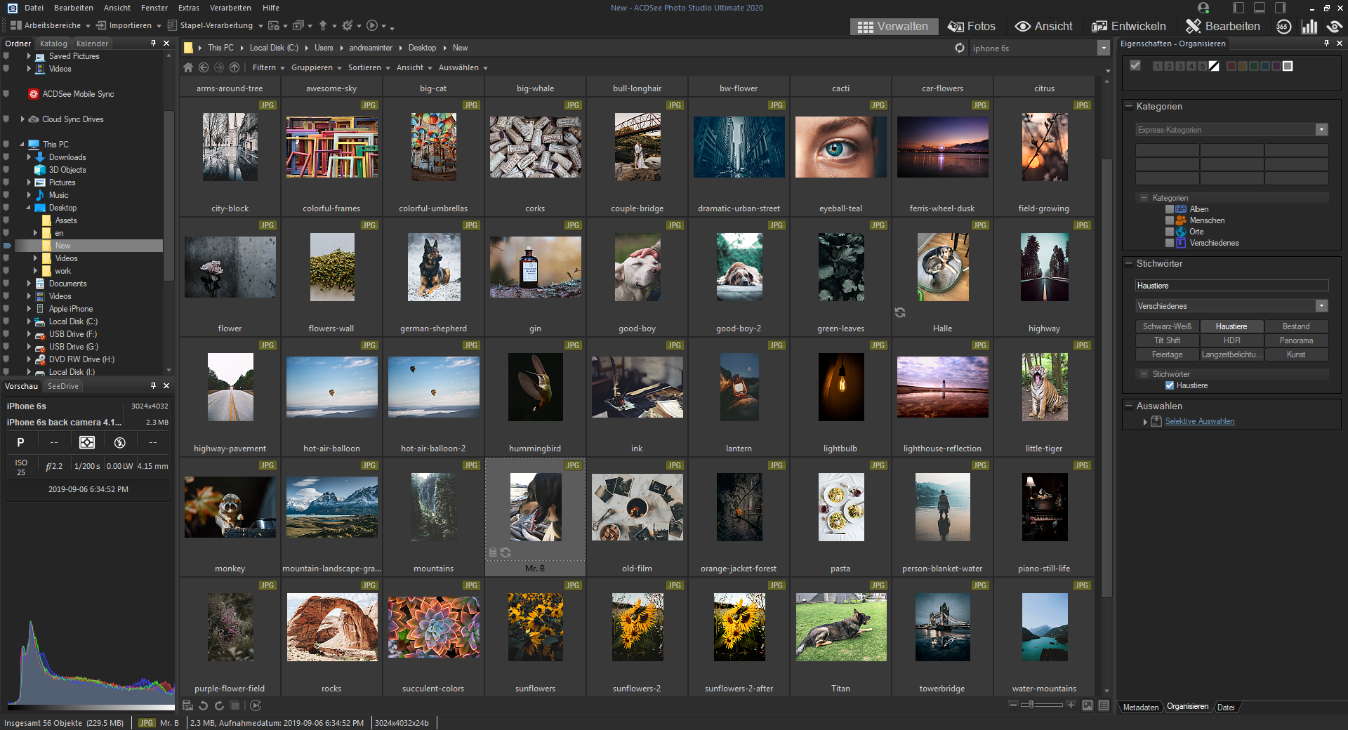 Image result for acdsee photo editor 2020 crack
