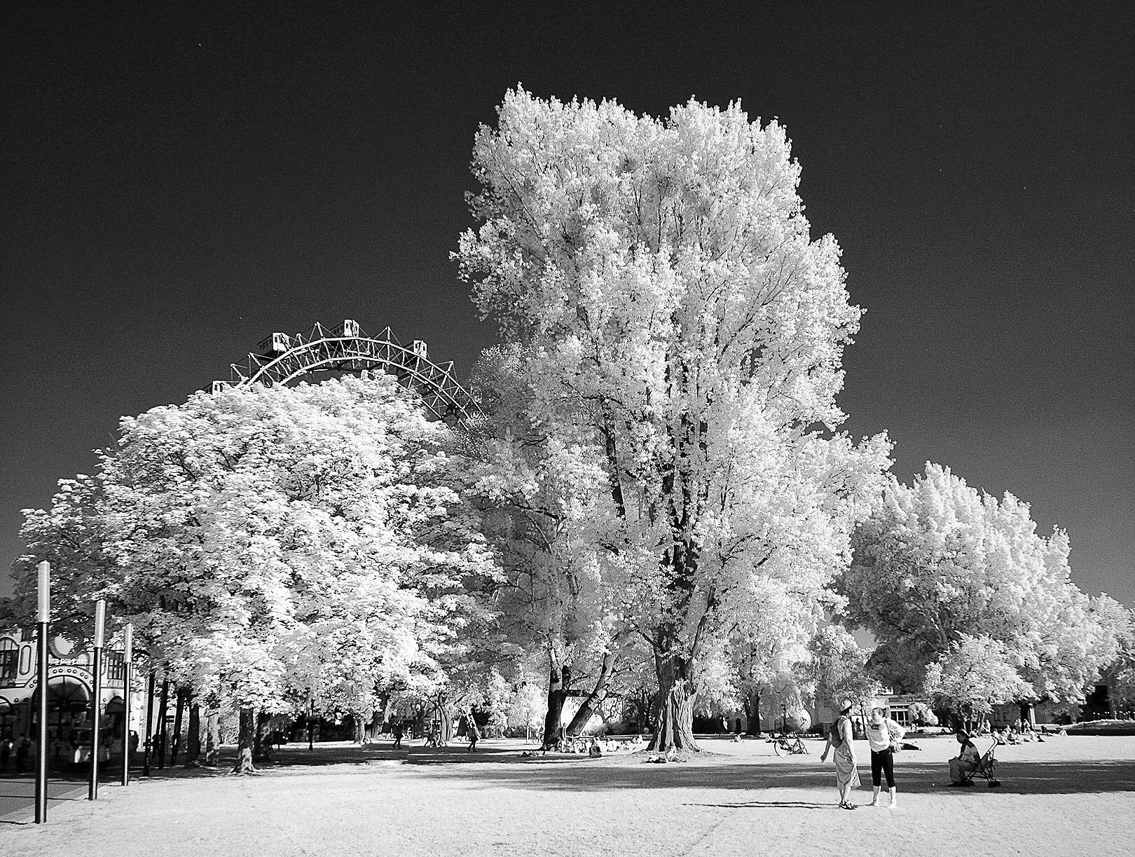 Summer School of Photography in Vienna 2025