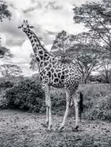 Bildschirmfoto 2021-07-20 um 15.02.49.png