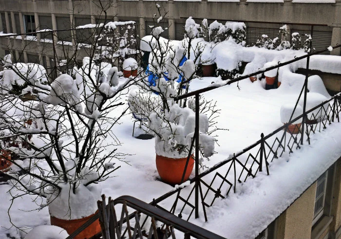 Terrasse.jpg
