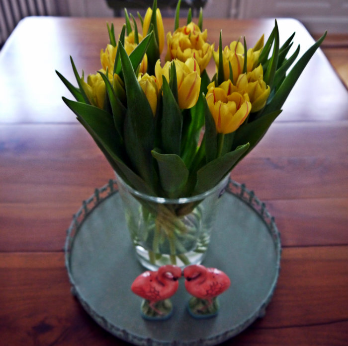 Tulpen gelb.jpg