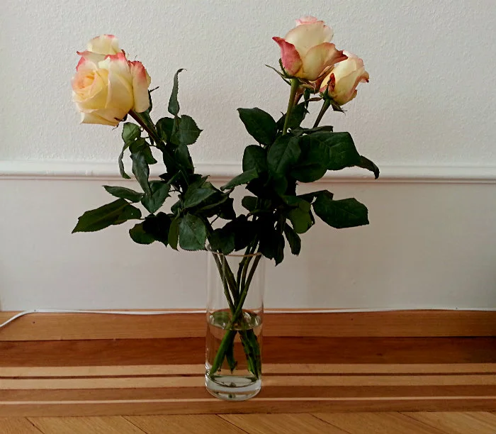 (Momente meiner Woche an- und festgehalten mit meinem Mobile)