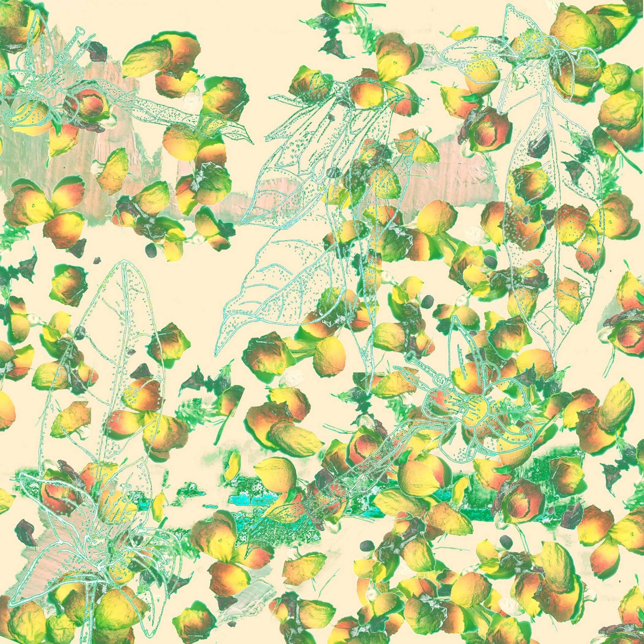 Boon: food , water, atmosphere http://boonmusic.bandcamp.com/ Blueberry: atmosphere, water, food blbrry.bandcamp.com Silver Bracelet: new precious jewels Moon Revenge: formerly of Secret Cities https://moonrevenge.bandcamp.com/track/radiant-color-2