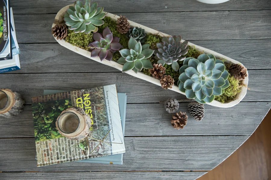 sage-newburyport-massachusetts-greenery-succulents-home.jpg