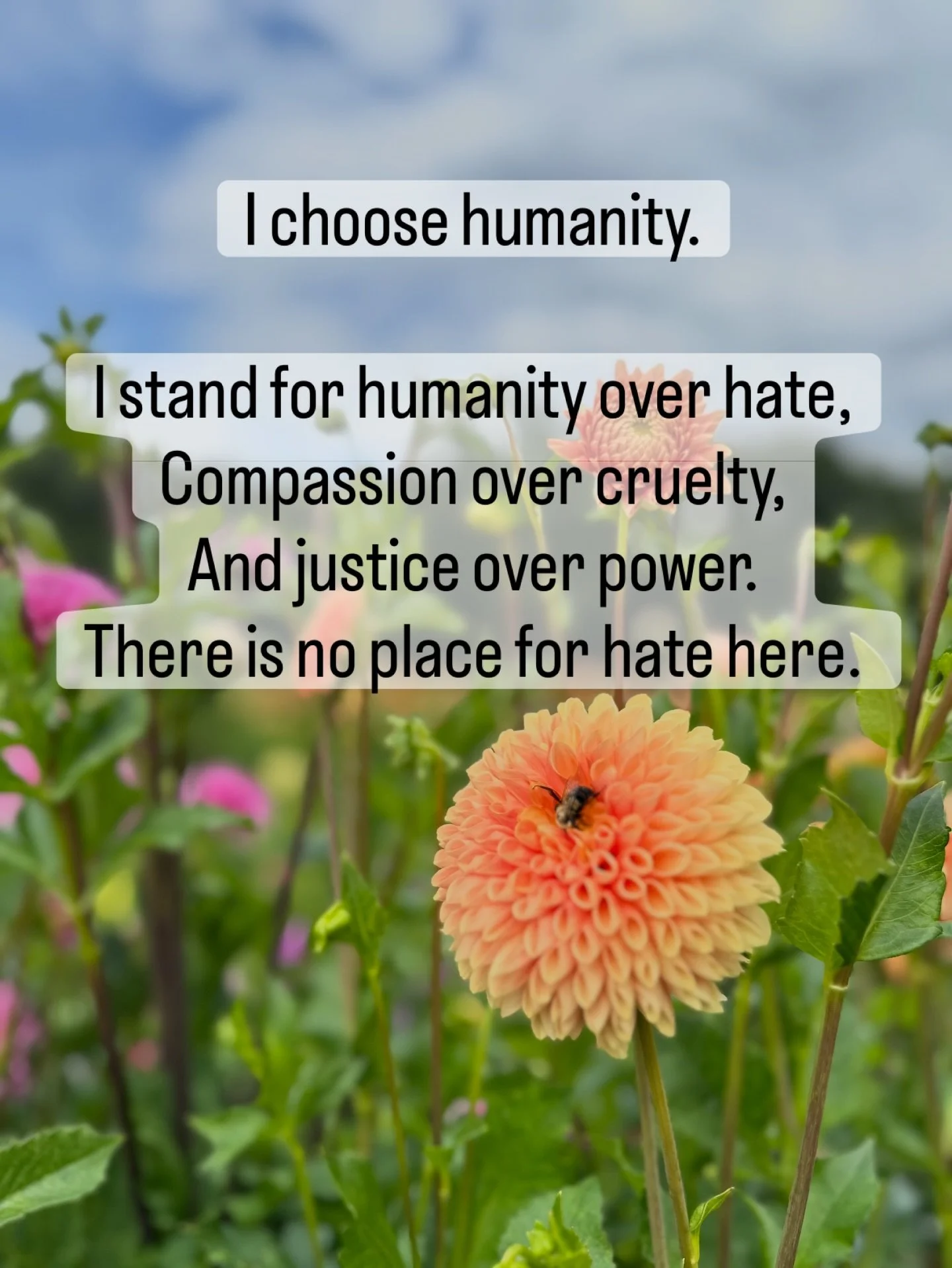 To be perfectly clear on where I stand: 
F*ck ICE, believe the survivors, arrest the pedophiles not the immigrants ✊ I stand with kindness, decency, and humanity.