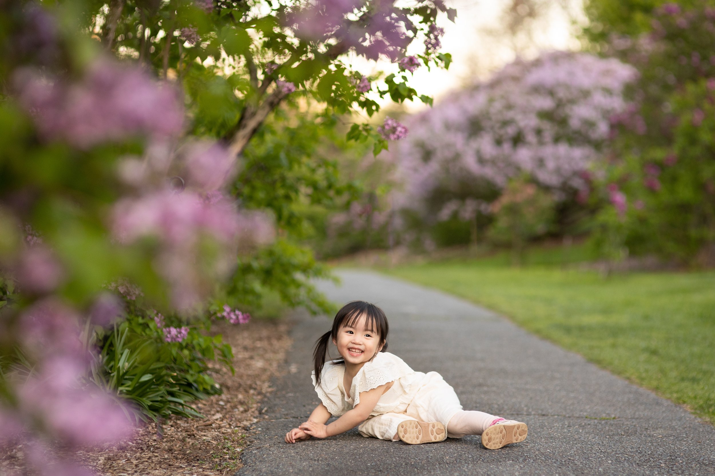 spring-lilacs-boston-arboretum-toddler-family-session